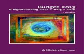 budget 2013 i detaljer