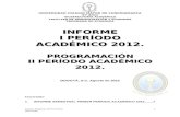 Informe Final 2012-1 inicio 2012-2