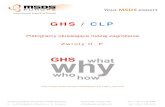 GHS / CLP - Piktogramy określające rodzaj zagrożenia, Zwroty H, P