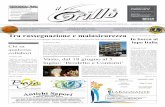 Periodico Il Grillo - anno 4 - numero 21 - 12 giugno 2010