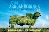 Leilão Agroandorinha