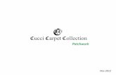 Cucci Collection