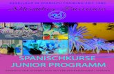 Spanisch für Gruppen Kurse - Spanisch lernen in Malaga