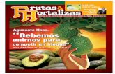 Frutas & Hortalizas Edición 11