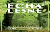 Echa Leśne - wydanie specjalne