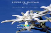 Brochure 2012 Praz de Lys - Sommand