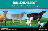 Bullenangebot Holstein/Braunvieh/Jersey Dezember 2010