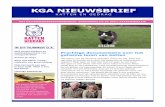 KGA Nieuwsbrief Katten & Gedrag 7-2013
