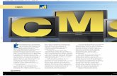 Ricardo Maekawa - Content Management Systems (CMS) - Revista W