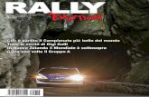 Rally Emotion #002