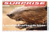 Surprise Strassenmagazin 226/10