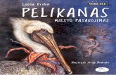 Pelikanas. Miesto pasakojimas