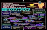 Bornova Gazetesi 40.Sayı