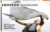 Erhverv Danmark sek 1