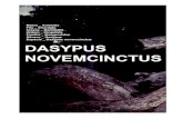 Dasypus Novemcinctus