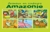 Animaux en couleurs - Amazonie