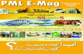 PML net Mag