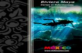 Guide Touristique de la Riviera Maya