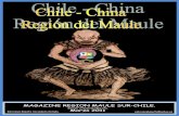 Magazine Región  Maule Sur-Chile 2