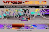Voss-Geilo program 2013
