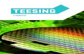 Teesing Submicron Technologies (CN)