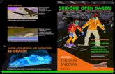 Skidôme open dagen flyer 2013