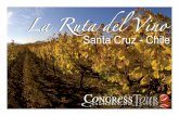 La Ruta del Vino "Santa Cruz"