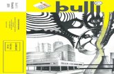 Bulli 2010_3