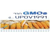 จาก GMOsสู่ UPOV1991