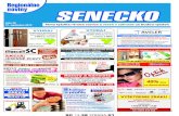 Senecko 12-38