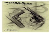 Pistole e Revolver 2013