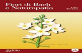 Fiori di Bach e Naturopatia di Catia Trevisani