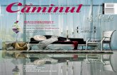 Revista Caminul octombrie 2011