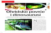 Ohridsko povrce i dinosaurusi