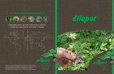The Ellepot System - Portuguese catalogue