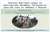 Влияние факторов среды на динамику численности ушастой совы на зимовке в Москве