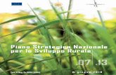 Piano Strategico Nazionale 2007-13