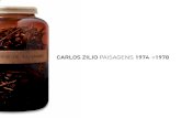Catalogo Carlos Zílio: Paisagens 1974 > 1978