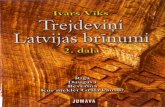Trejdevini Latvijas brinumi 2. dala - Ivars Viks