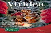 Viridea Magazine - Natale 2012