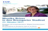 Kandidatur Stadtrat Bremgarten