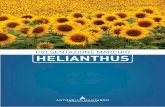 Helianthus brand identity
