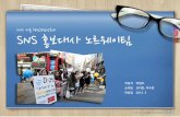 나사대) 2012 서울 핵안보정상회의 - 노르웨이 팀 보고