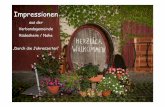 Impressionen - Reise durch die VG Ruedesheim