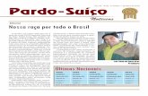 Pardo-Suíço Notícias 36