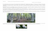 Setas. gestión de los aprovechamientos forestales