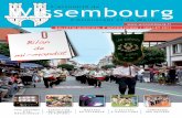 Bulletin municipal de Wissembourg - juillet 2011