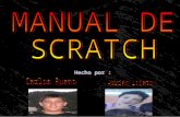 Manual Scratch Carlos R