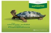 InFinito brochure