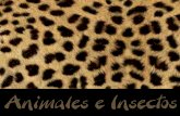 Animales e Insectos